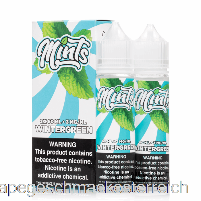 Wintergreen - Mints Vape Co - 120ml 6mg Vape Geschmack